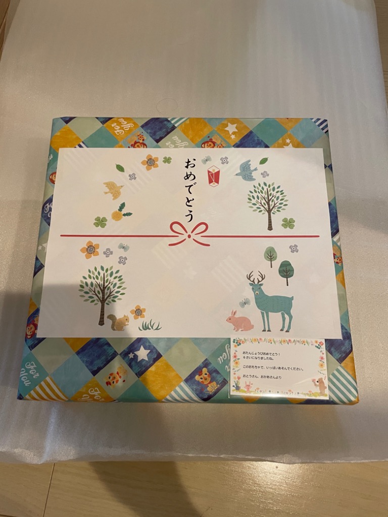 LaQ ラキュー 限定 ボーナスセット 2021 Bonus Set 知育