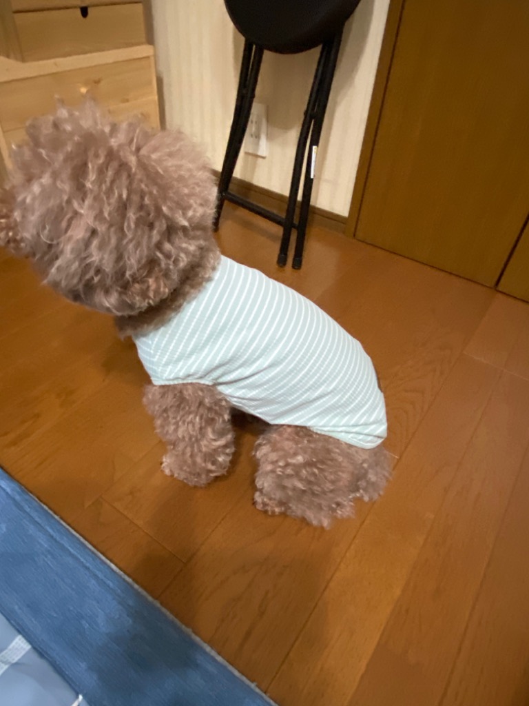 レビュー画像