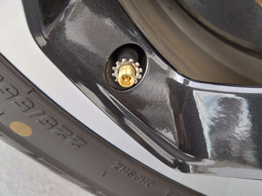 外歯付座金M8(燐青銅/ニッケルメッキ) : ねじ各種とリコイルのnejiya