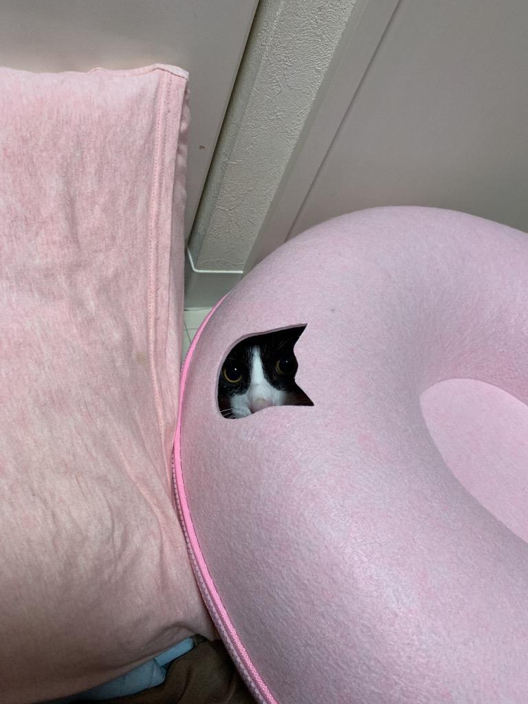 1件目のレビュー画像 | 0