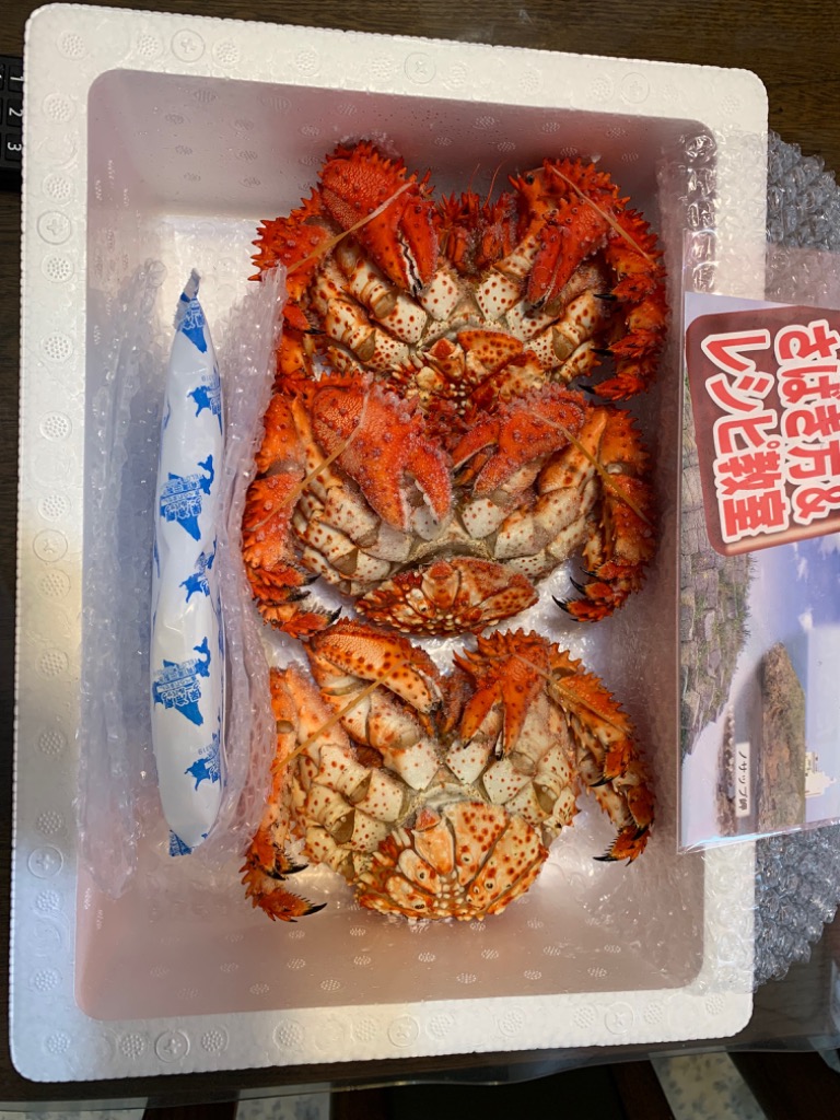 母の日 ギフト 2025 かに カニ 蟹 花咲ガニ 北海道産 花咲かに