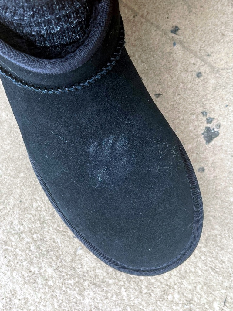 UGG アグ 厚底ブーツ ウィメンズ クラシック ウルトラ ミニ