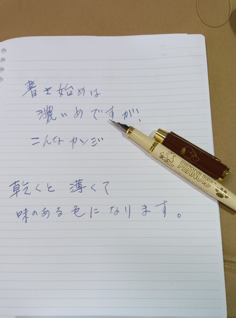 レビュー画像