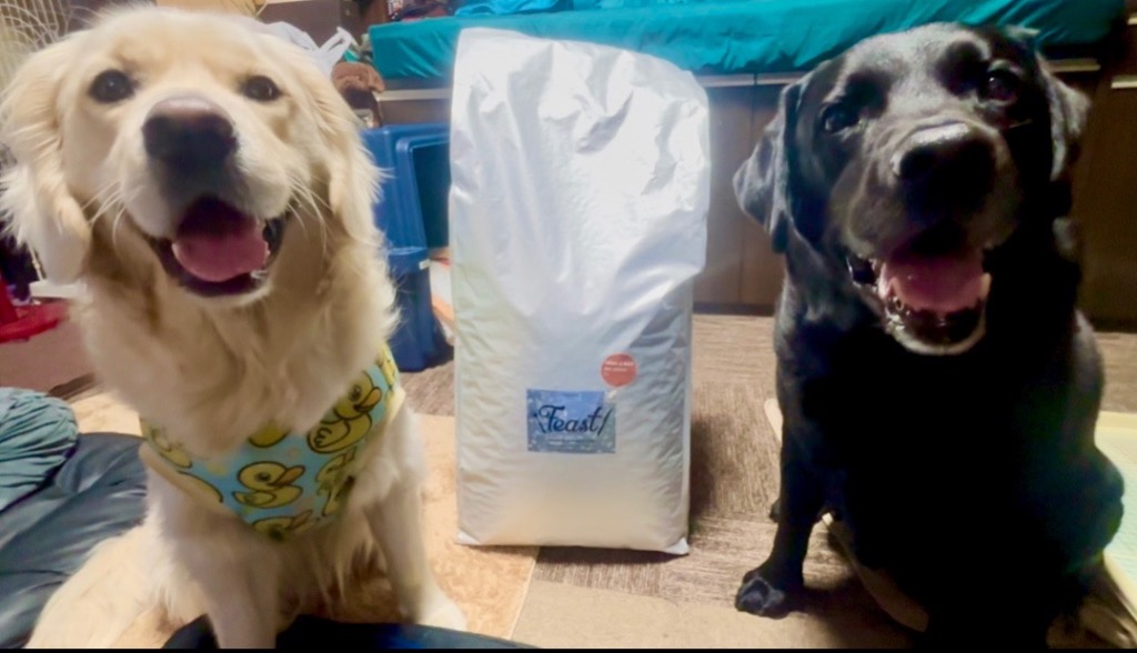 inumesi  フィースト ラム＆ライス 15キロ ブリーダーパック INUMESHI フィースト ラム&ライス 1歳以上 全犬種用 15kg