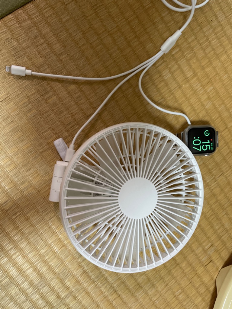 レビュー画像