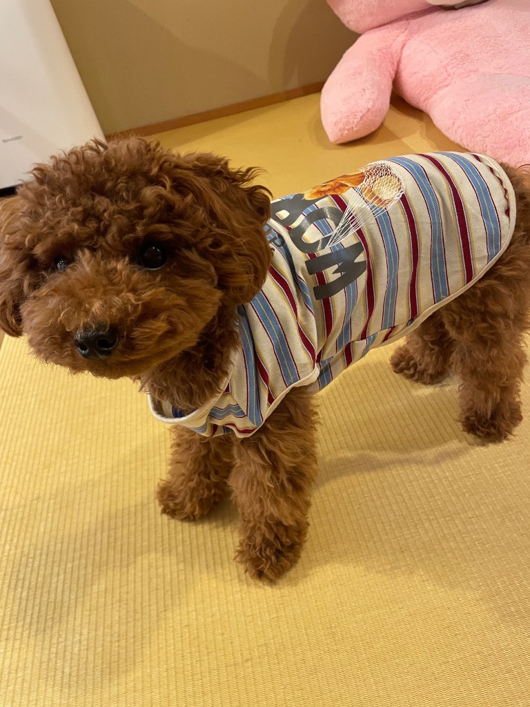 2件目のレビュー画像 | 0
