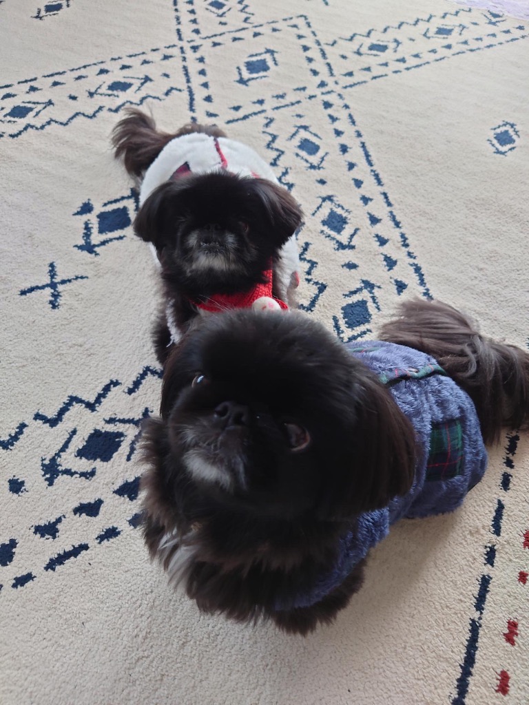 3件目のレビュー画像 | 1