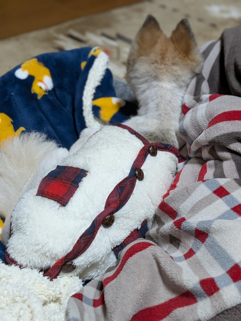 5件目のレビュー画像 | 0