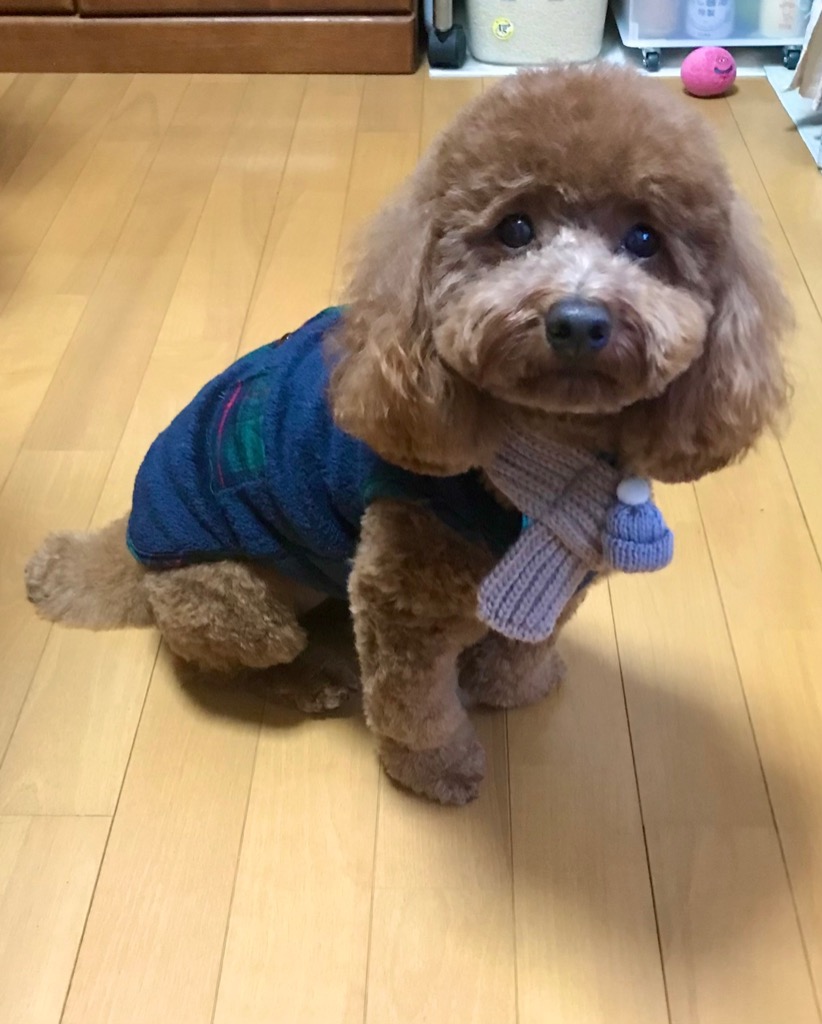 1件目のレビュー画像 | 0