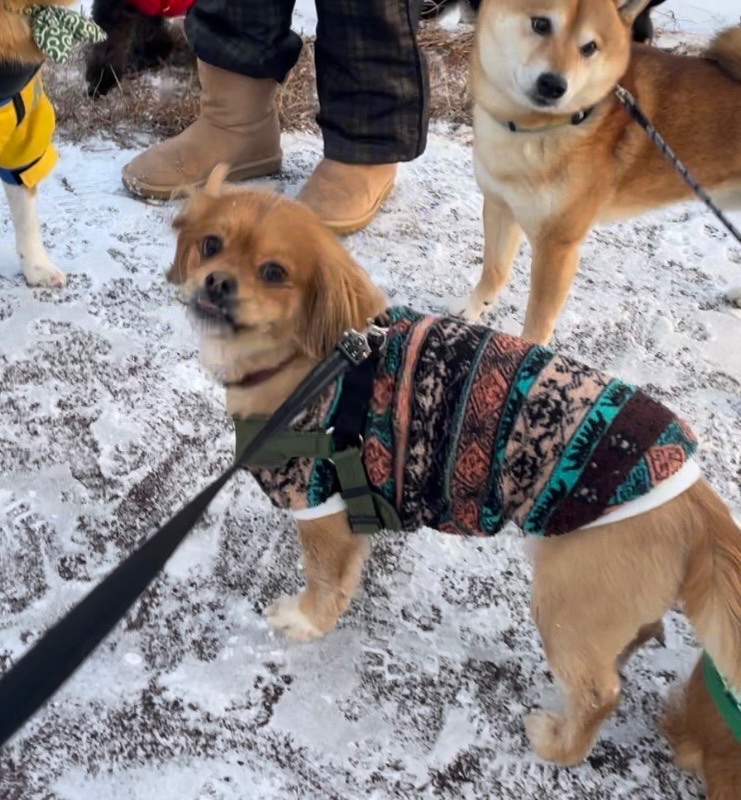 1件目のレビュー画像 | 0