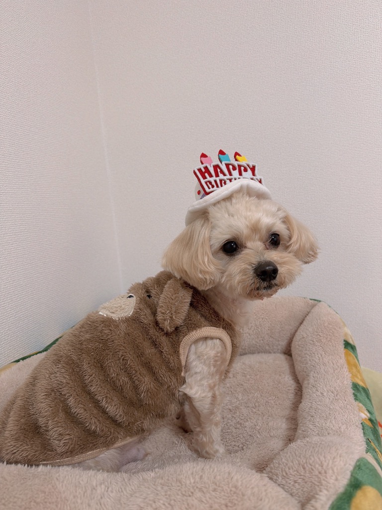 全体のレビュー画像 | 0-0