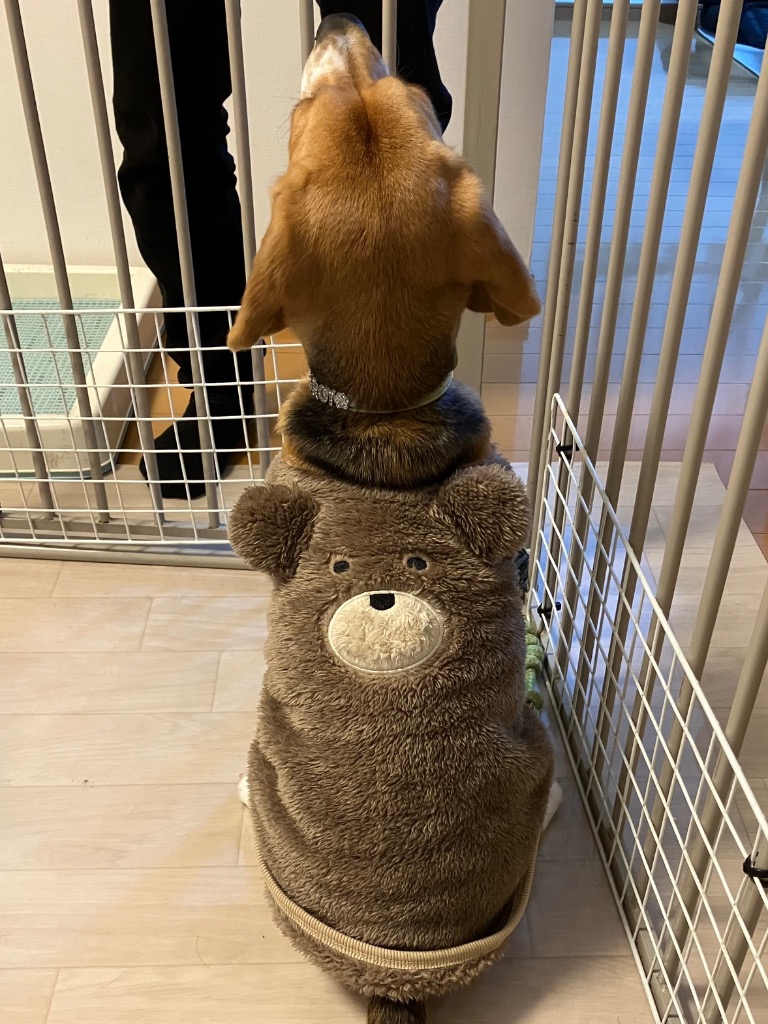 1件目のレビュー画像 | 1