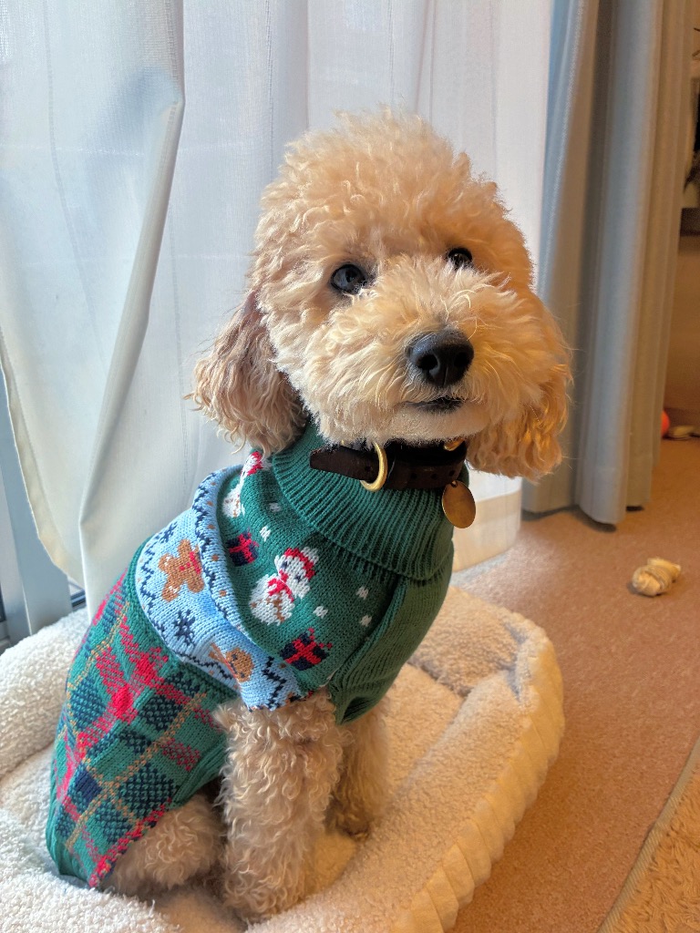 1件目のレビュー画像 | 0