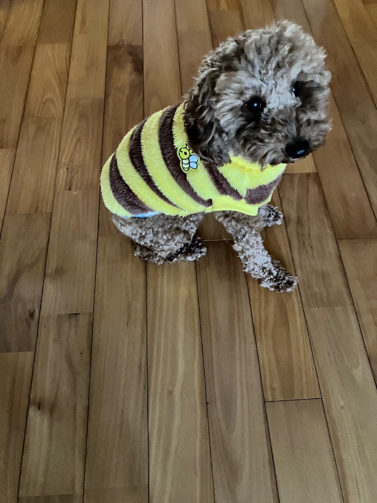 全体のレビュー画像 | 2-0