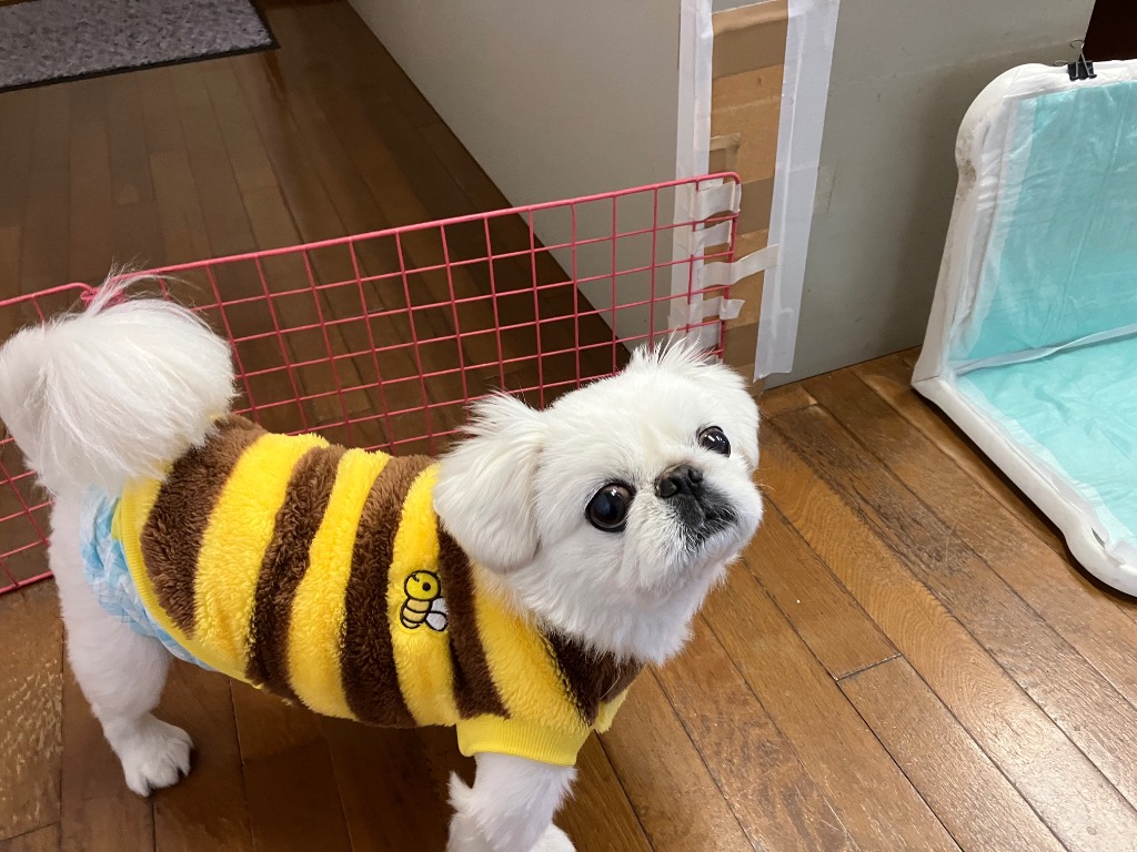 1件目のレビュー画像 | 0