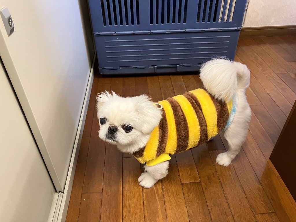 1件目のレビュー画像 | 1