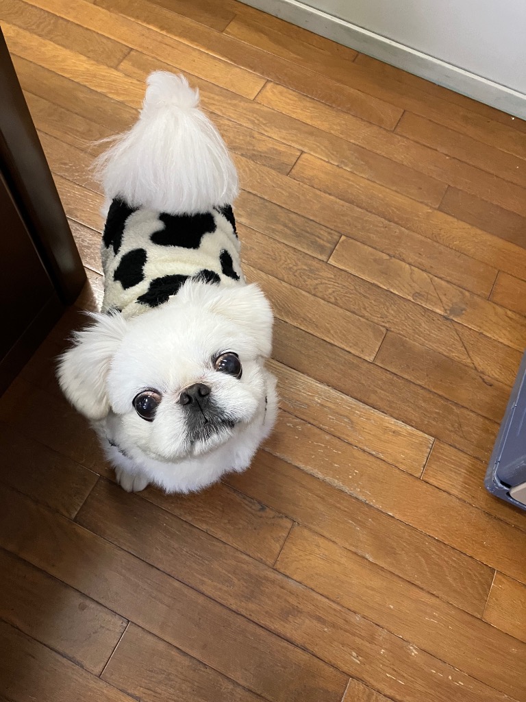 9件目のレビュー画像 | 0