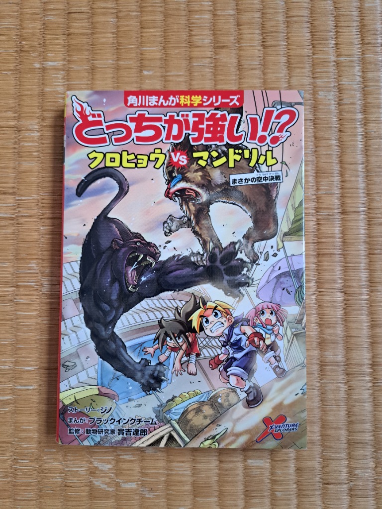 どっちが強い！？クロヒョウVS（たい）マンドリル まさかの