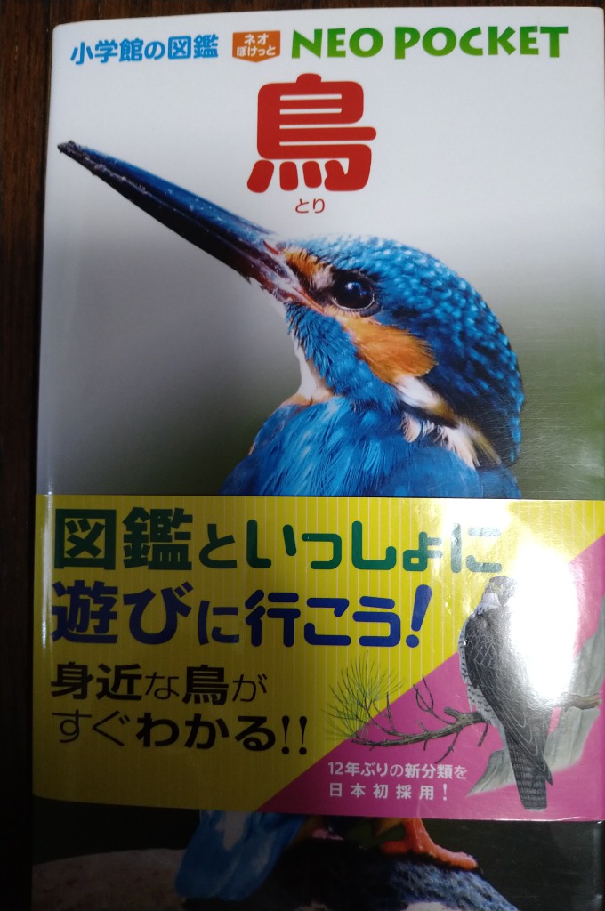 鳥 （小学館の図鑑NEO POCKET 7） 上田恵介／監修