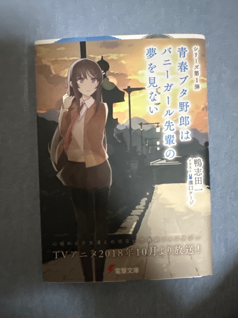青春ブタ野郎はバニーガール先輩の夢を見ない　全巻　青春ブタ野郎シリーズ　鴨志田一 Amazon.co.jp: 青春ブタ野郎はバニーガール先輩の夢を見ない