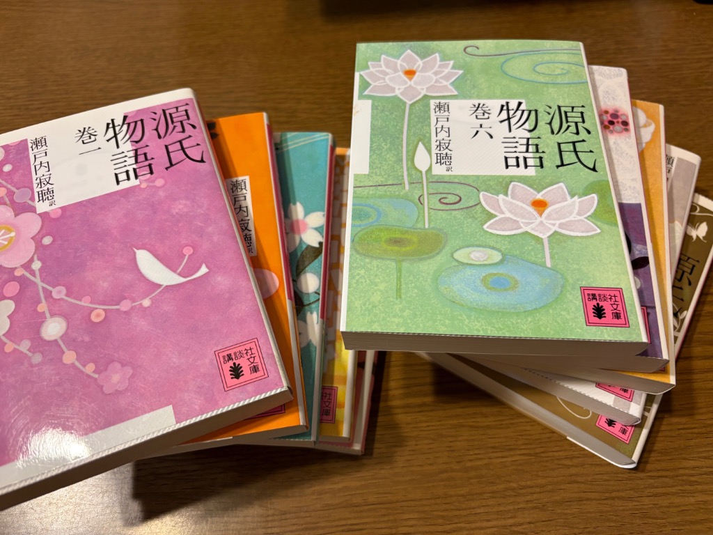 講談社（kodansha） 源氏物語【講談社文庫】 （全10巻セット）／瀬戸内