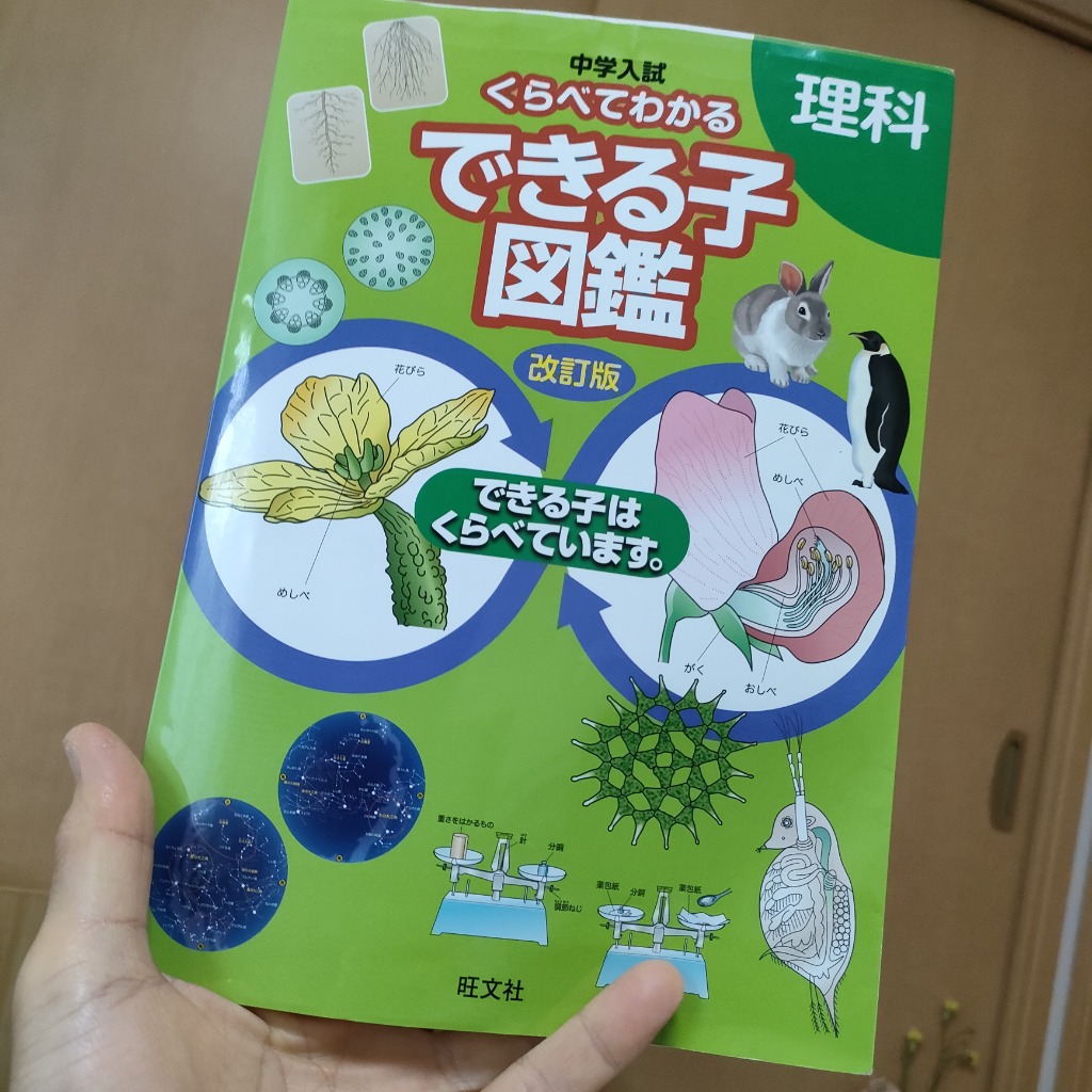 2件目のレビュー画像 | 0