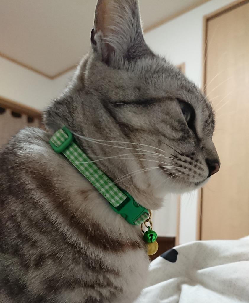 猫（ねこ）ちゃん用迷子札にもなる首輪ギンガムチェック柄 :catgingham9-caj10:Net Pets HAL - 通販 -  Yahoo!ショッピング