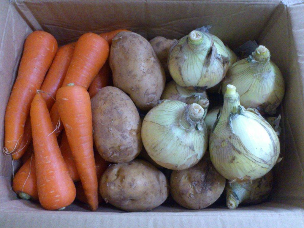 全体のレビュー画像 | 6-0