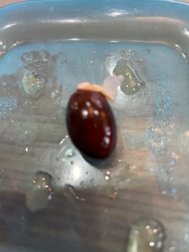 全体のレビュー画像 | 0-2