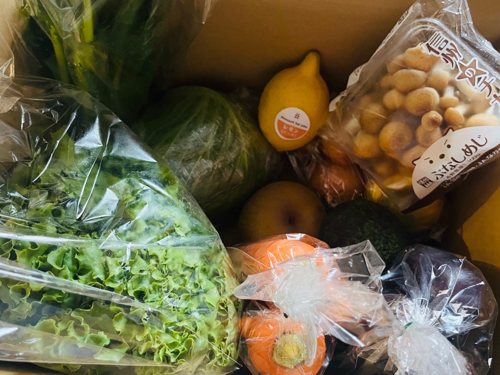 全体のレビュー画像 | 4-0