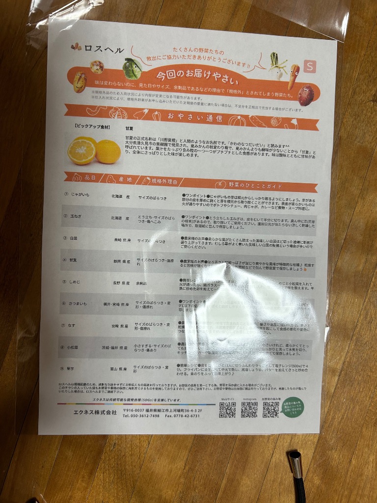 10件目のレビュー画像 | 1