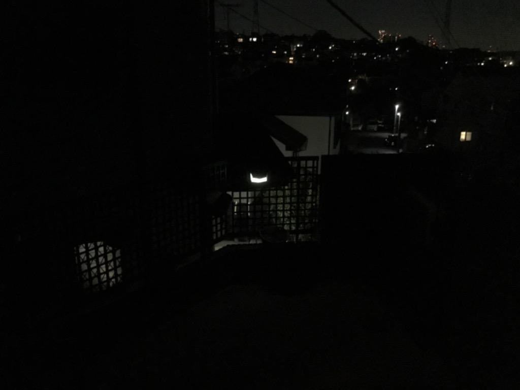 2件目のレビュー画像 | 1