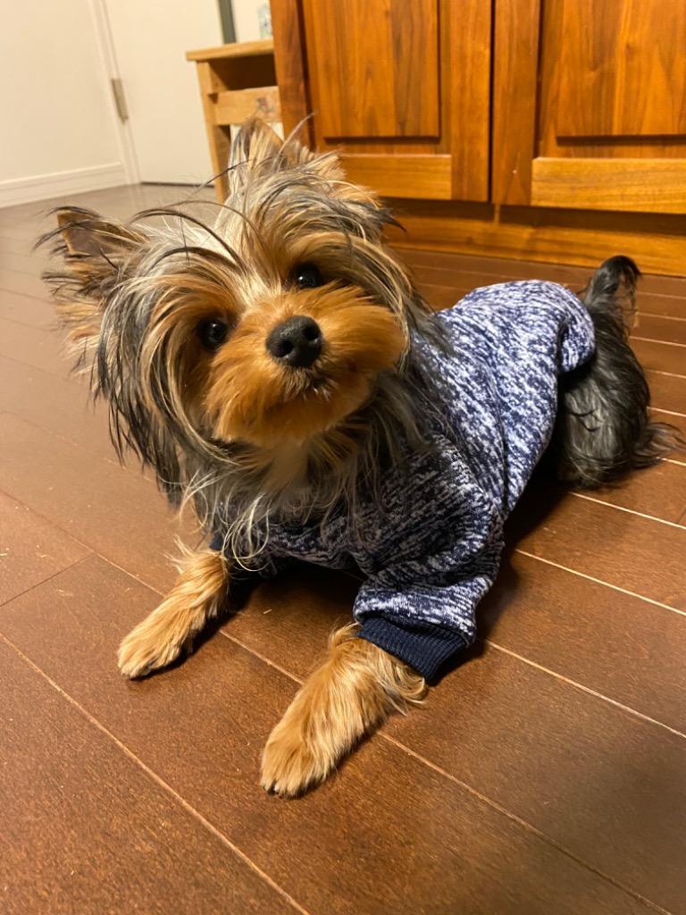 犬 服 おしゃれ かわいい ニット 秋冬 やわらか 袖あり ペット服 犬服 ルームウェア コットン 綿 z犬服 ニットo k10  :sa2562:ネクストステージストア - 通販 - Yahoo!ショッピング