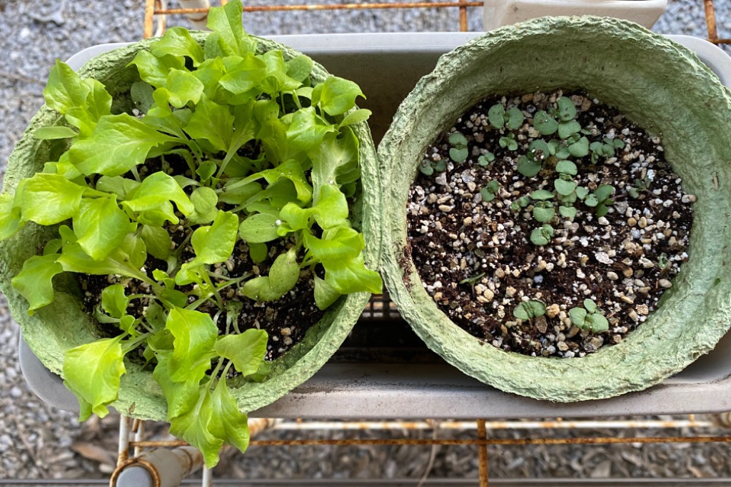 1件目のレビュー画像 | 0