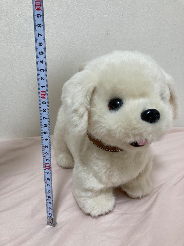 イワヤ おいで!おいで!よってくる!部屋ともワンちゃんレトリバー電動ぬいぐるみ おいで おいで よってくる 部屋ともワンちゃんレトリバー 電動