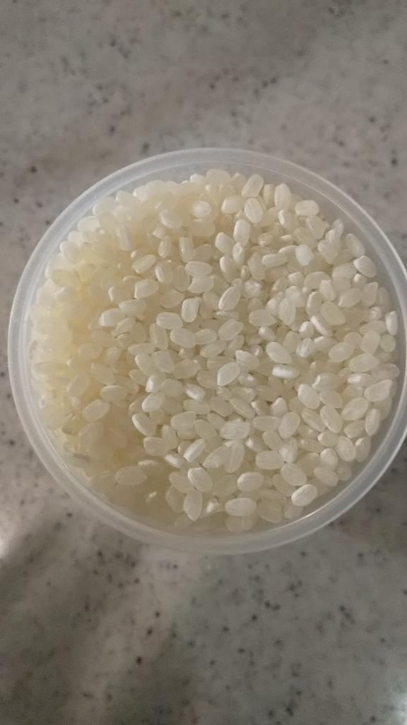 コシヒカリ お米 新潟県産 長岡地区限定 特別栽培米 白米 10kg コシヒカリ お米 新潟県産 長岡地区限定 特別栽培米 白米 10kg