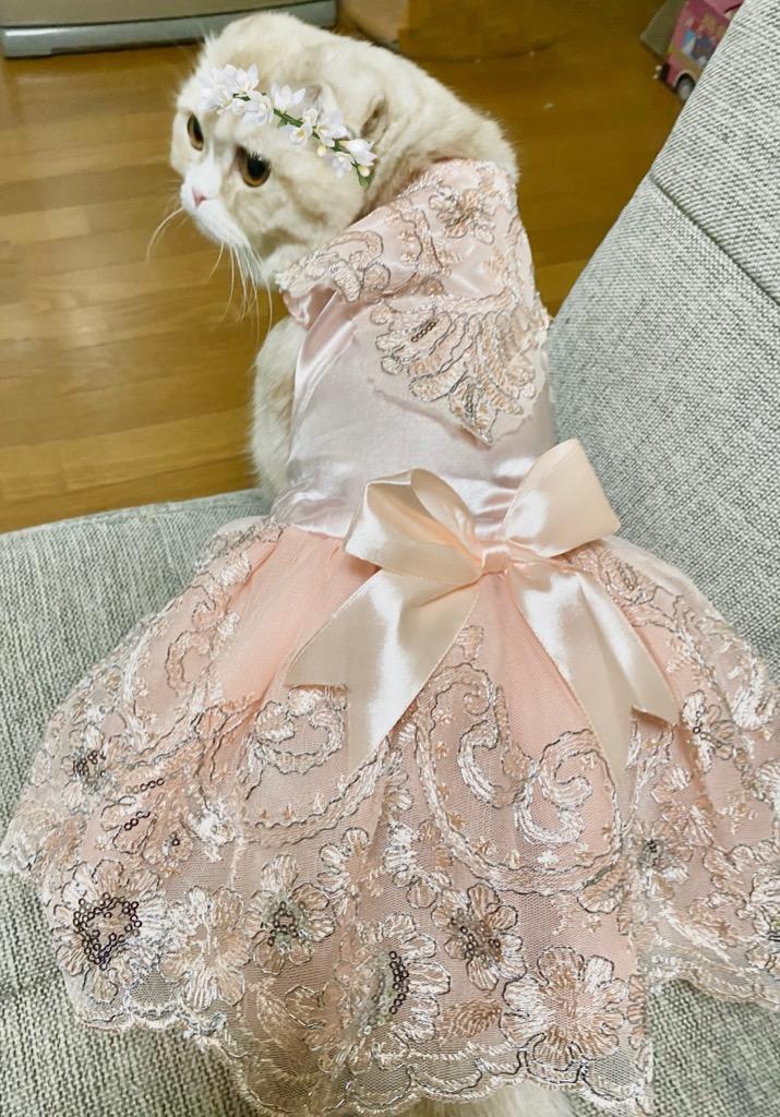 Amazon | Yurika 犬 ウエディングドレス 手作り犬服 華やか