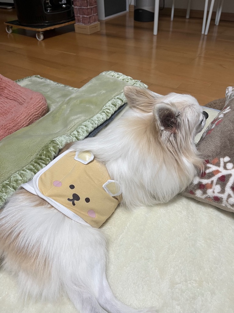 レビュー画像