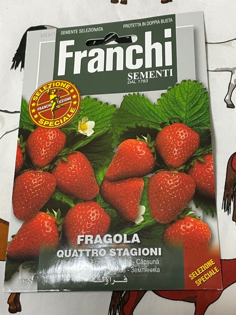 FRANCHI社種子】【63/1】四季なりイチゴ（いちご） QUATTRO