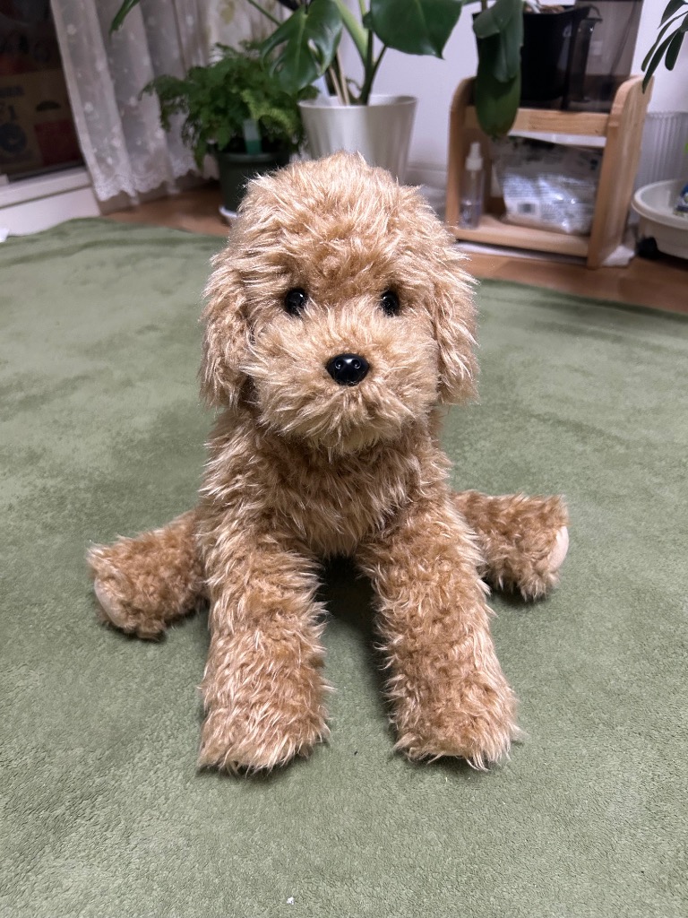 全体のレビュー画像 | 0-1