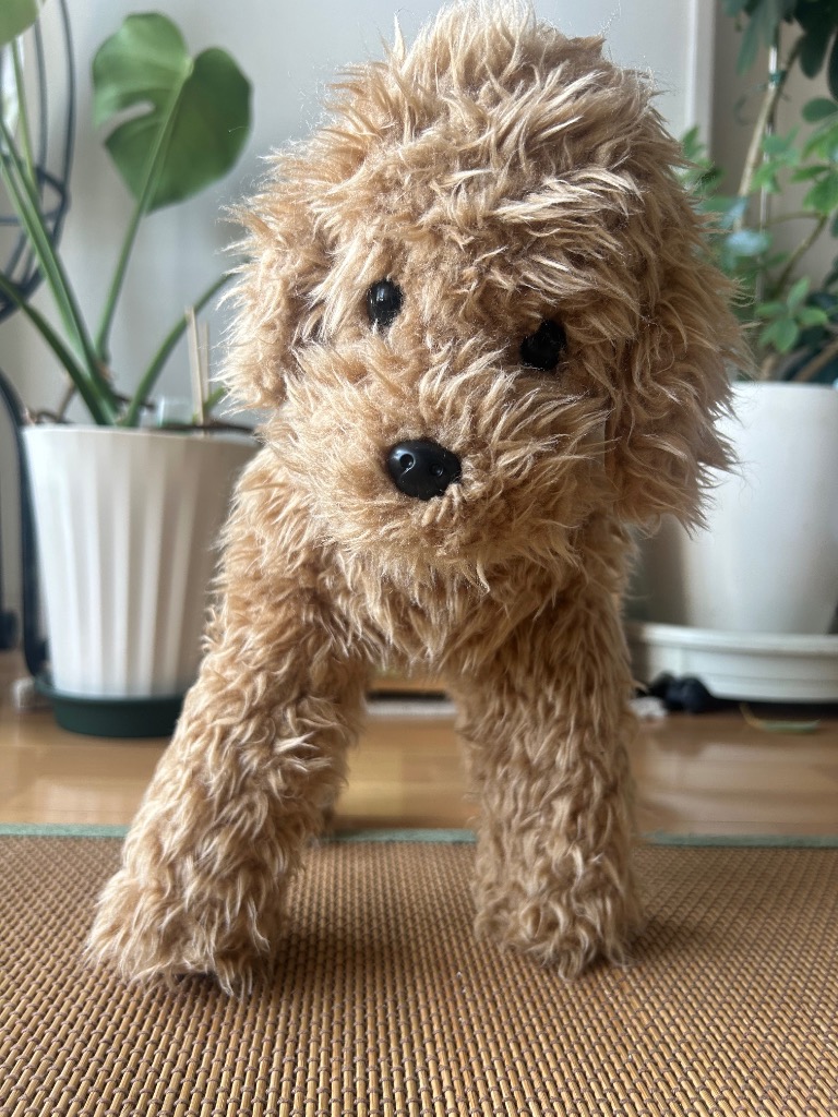 全体のレビュー画像 | 0-0