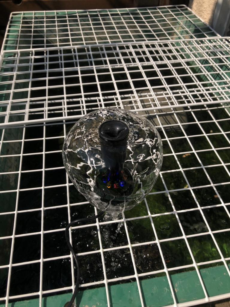 ゼンスイ seselan （セセラン） ポンプ（水槽、アクアリウム用品