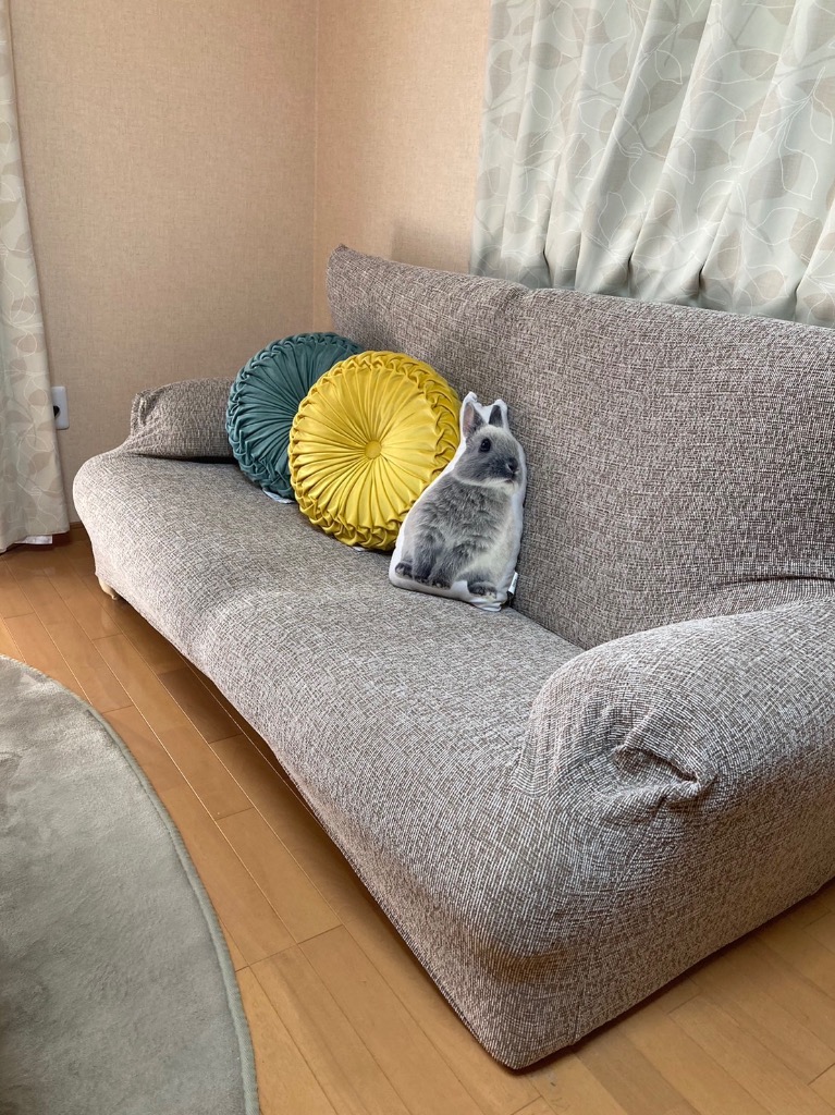 1件目のレビュー画像 | 0