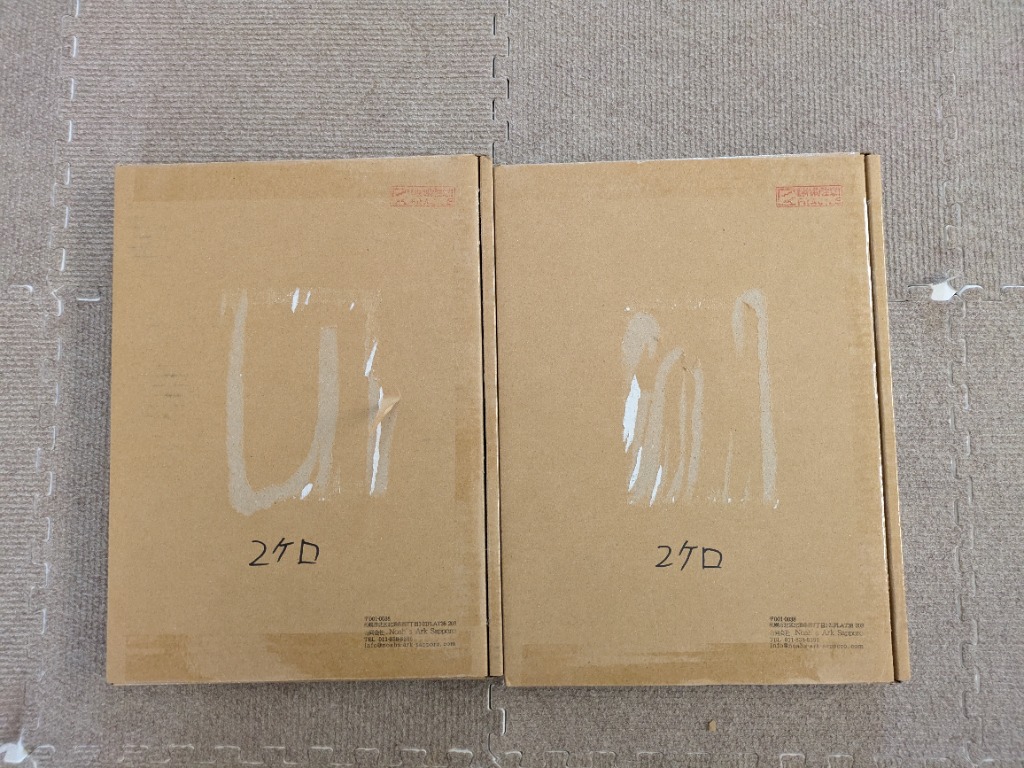 コウケントー 光線治療器用カーボン 5000番 10本入り : Noah's