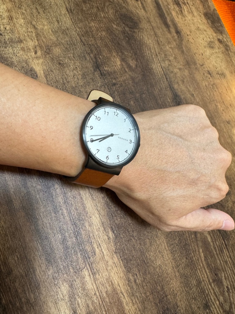 スカーゲン SKAGEN SKW6297 アンカー メンズ 腕時計