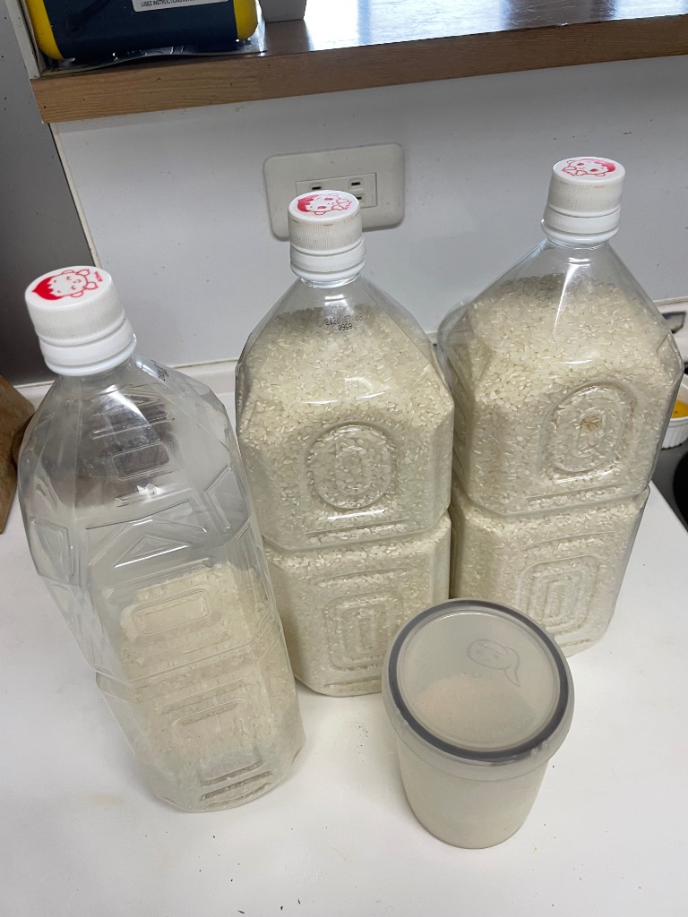 【無洗米】ミルキークイーン 長野県産 5kg 流るる 野沢農産 令和6年産 無洗米 5kg 送料無料 米 お米 ミルキー