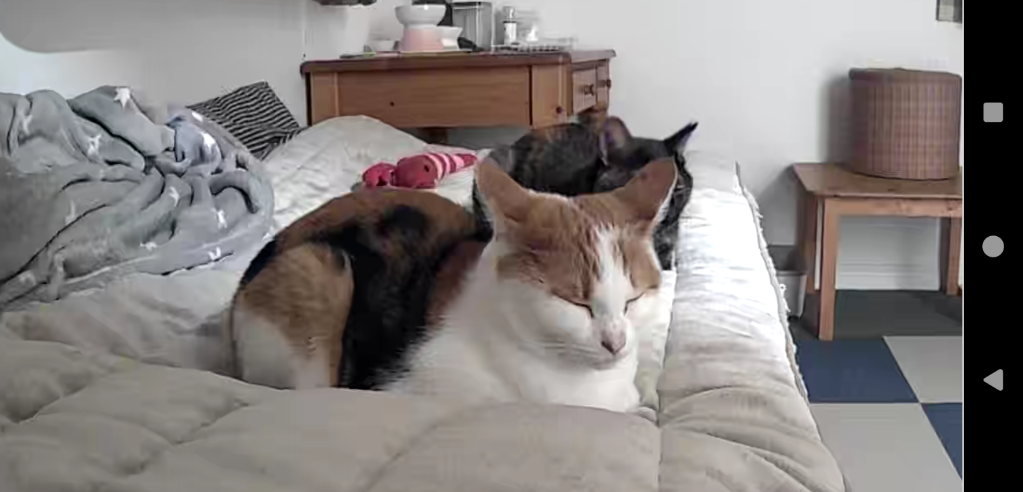 全体のレビュー画像 | 3-0