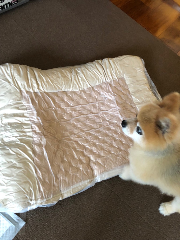 全体のレビュー画像 | 1-0