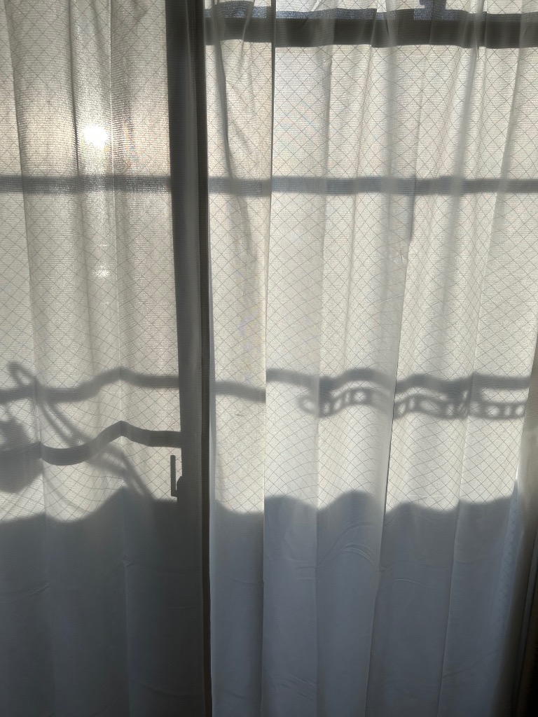 全体のレビュー画像 | 0-0