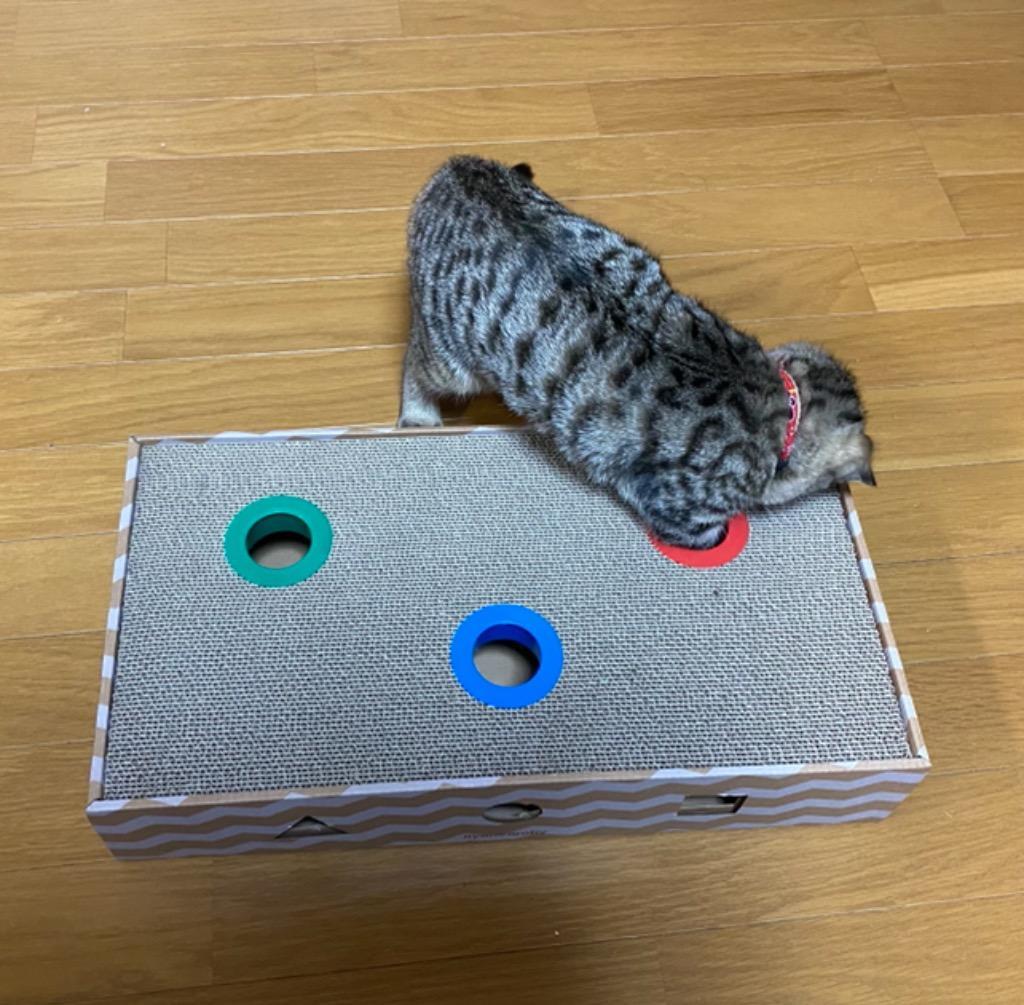 全体のレビュー画像 | 1-0